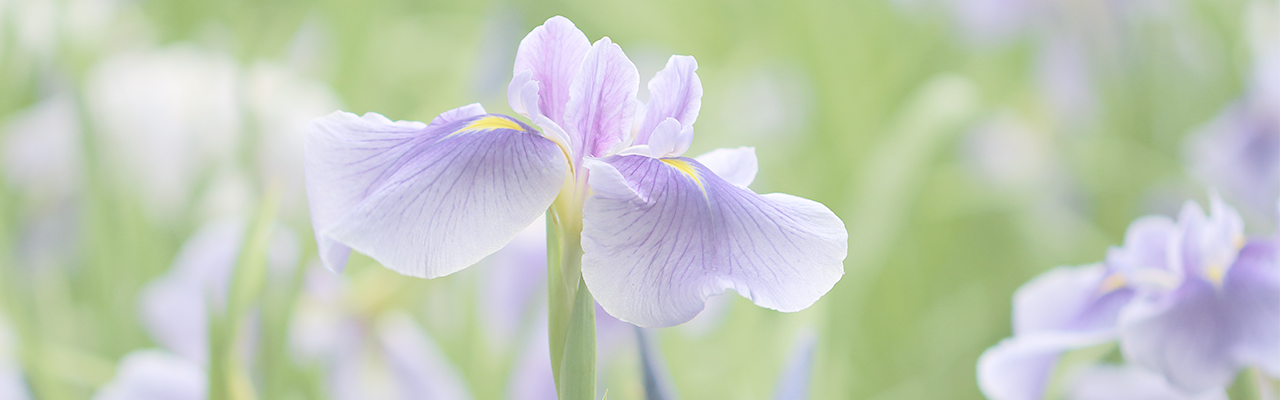 新緑の5月、夏への備えを