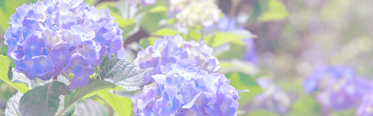 湿度に注目！6月のスキンケア