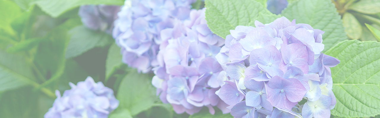 湿度を意識した、6月のスキンケア