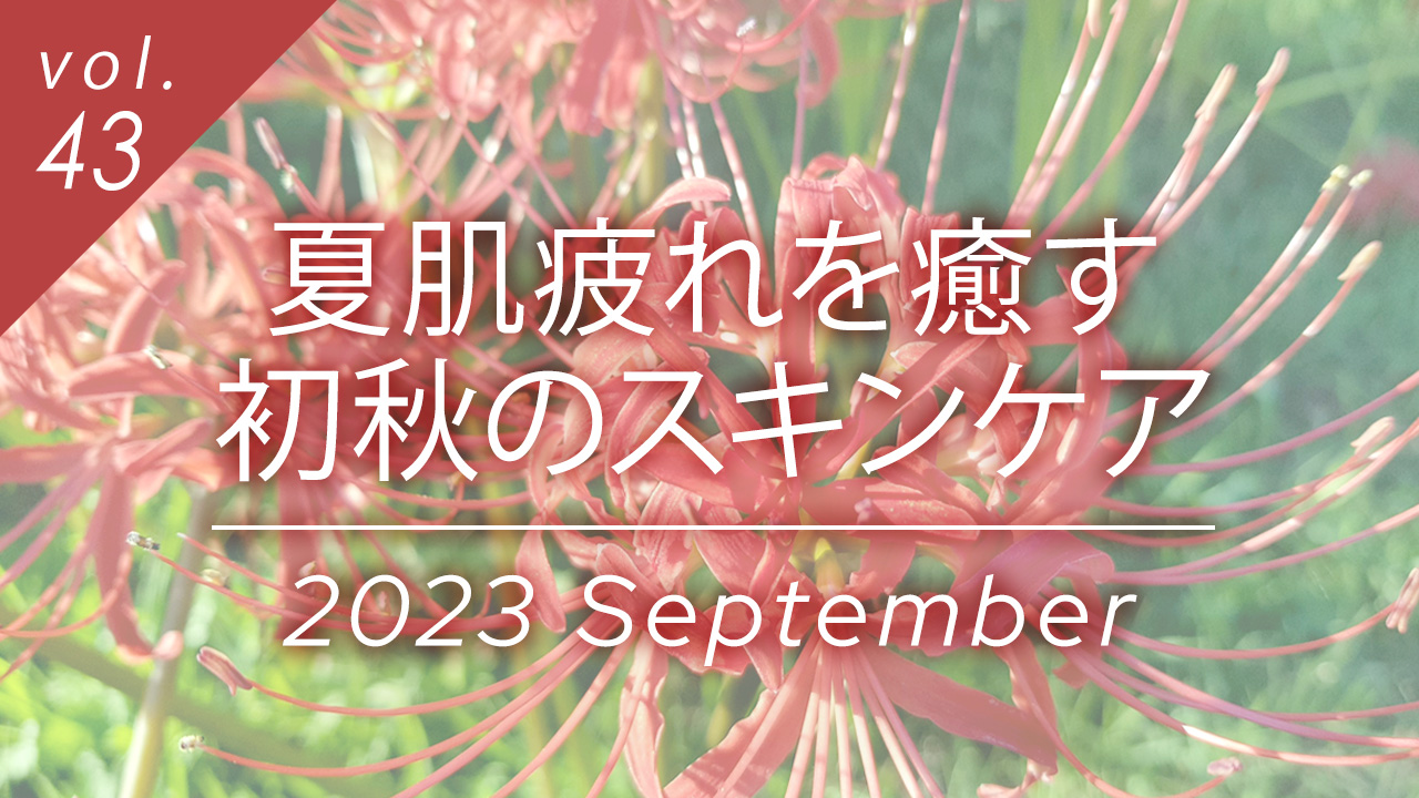 夏肌疲れを癒す、初秋のスキンケア
