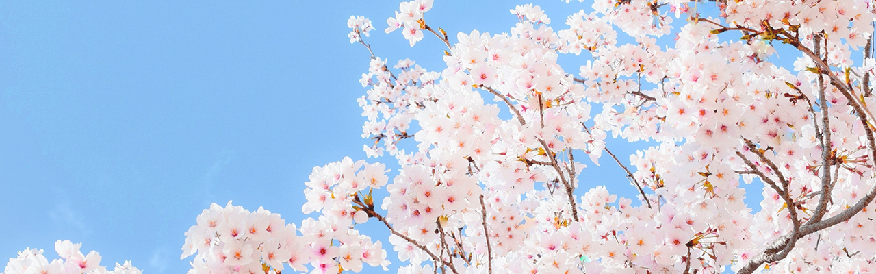 春に意識したいスキンケア