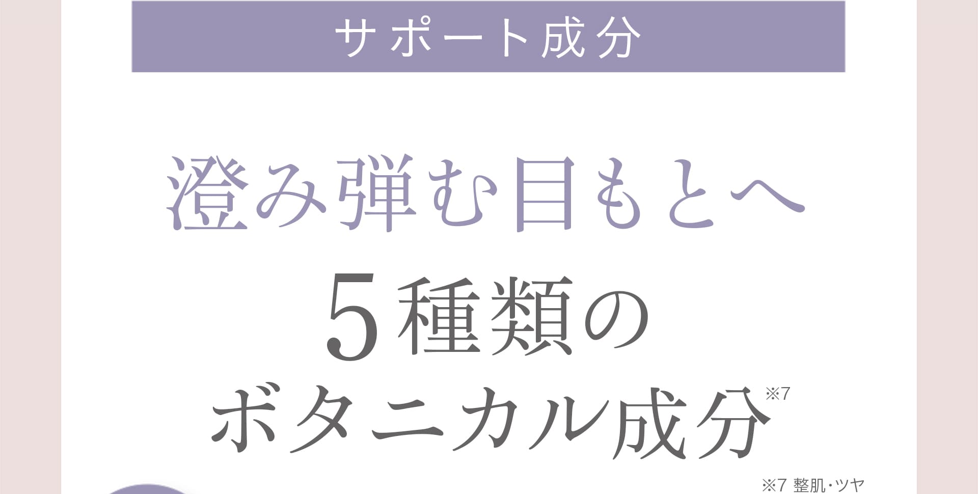 【サポート成分：澄み弾む目もとへ5種類のボタニカル成分（※）】　※整肌保湿