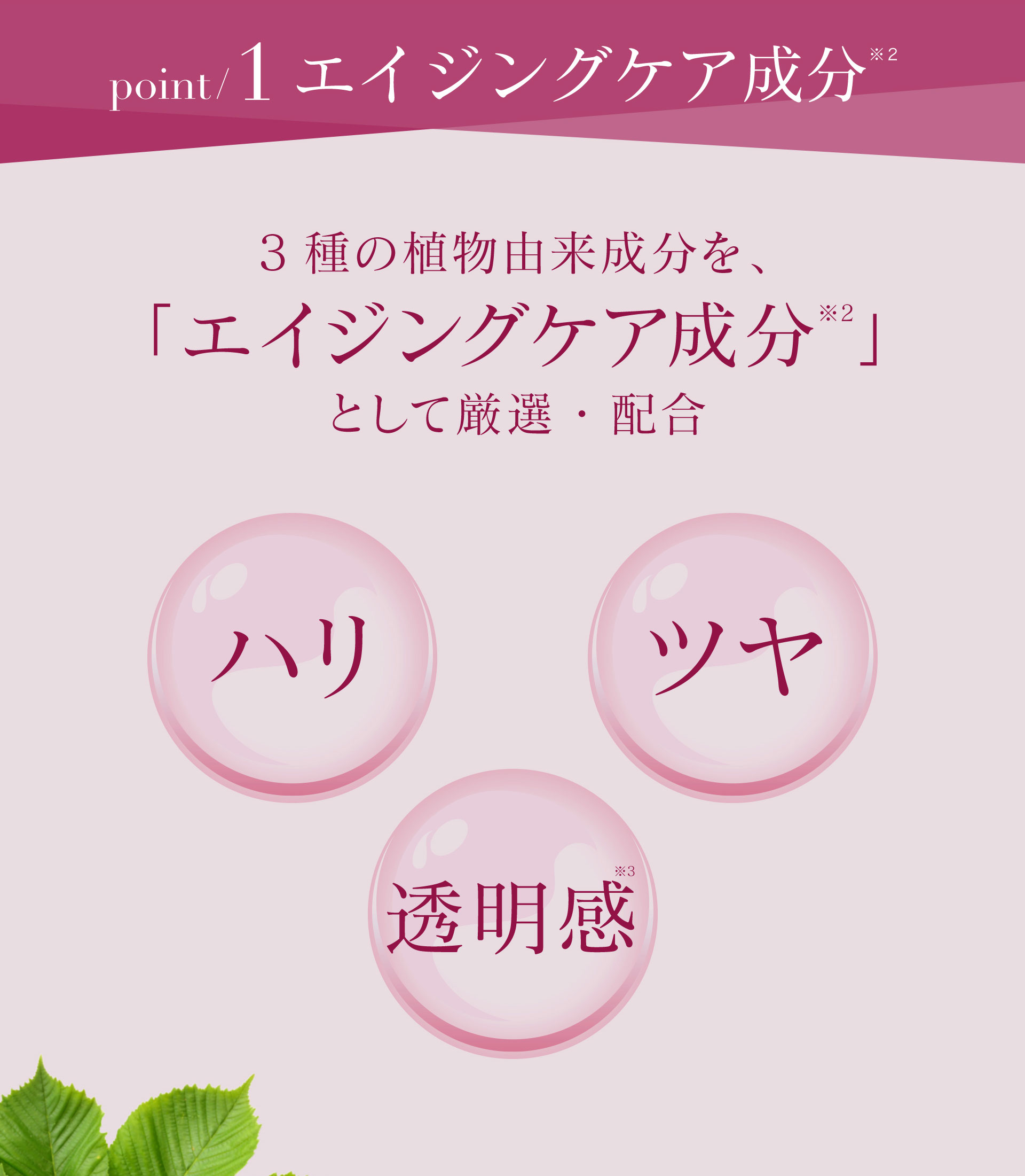 【POINT1】3種の植物由来成分を「エイジングケア成分」として厳選・配合。ハリ・ツヤ・透明感