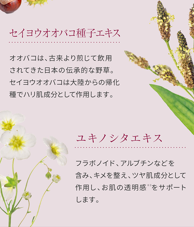 3種の植物由来成分を、「エイジングケア成分※2」として厳選・配合
