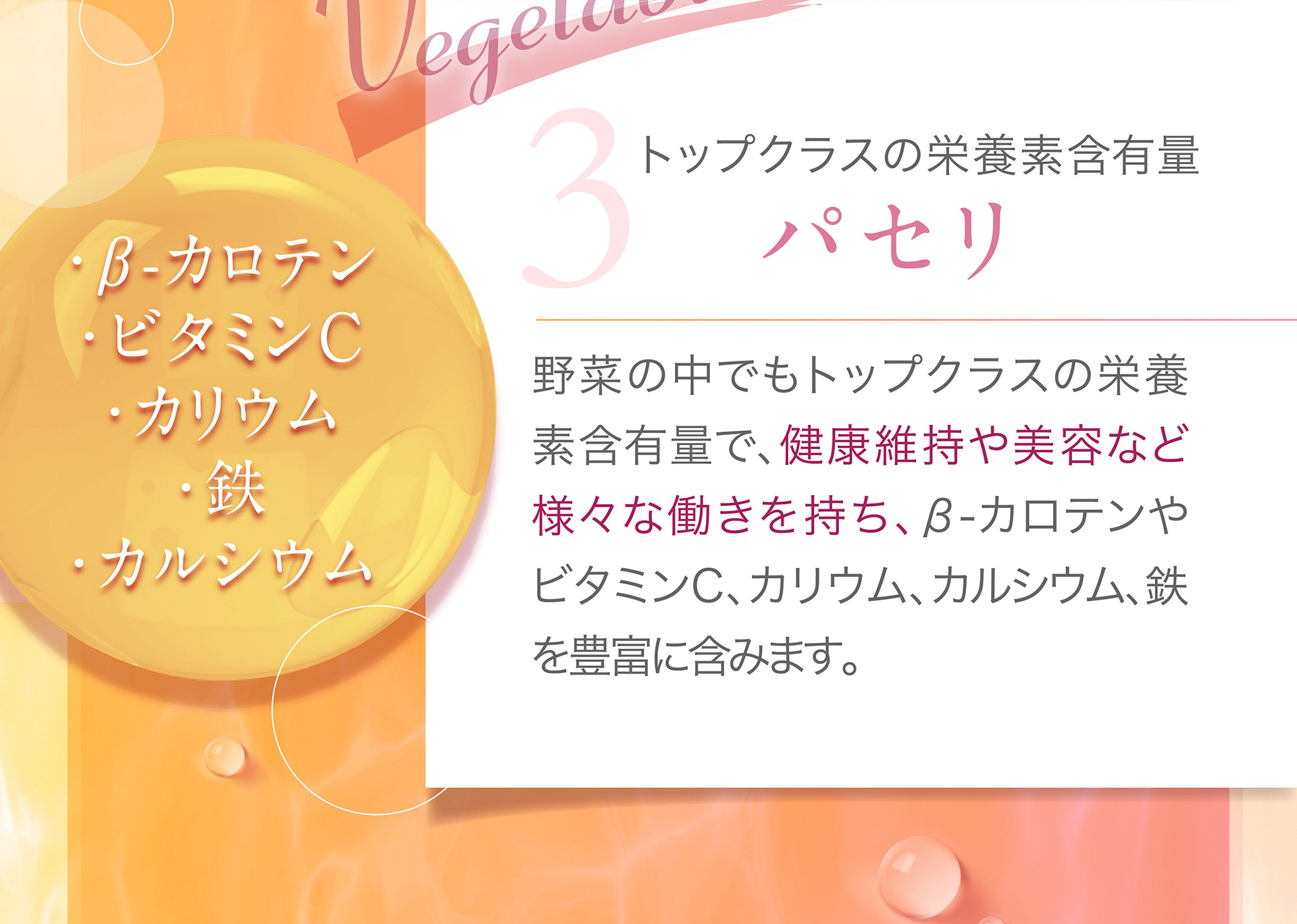 3：パセリ→野菜の中でもトップクラスの栄養素含有量で、健康維持や美容など様々な働きを持ち、β-カロテンやビタミンC、カリウム、カルシウム、鉄を豊富に含みます。