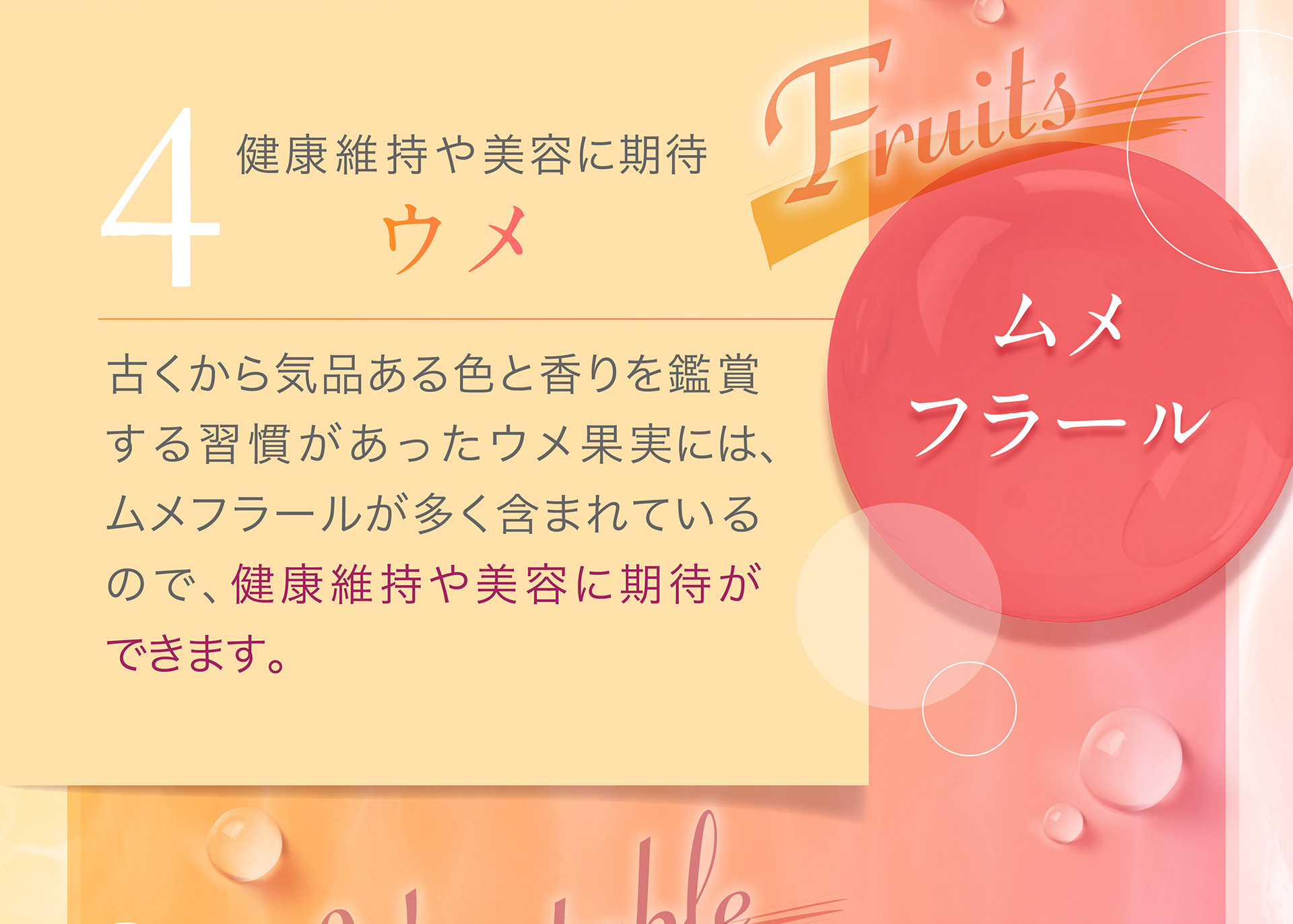 4：ウメ→古くから気品ある色と香りを鑑賞する習慣があったウメ果実には、ムメフラールが多く含まれているので、健康維持や美容に期待ができます。