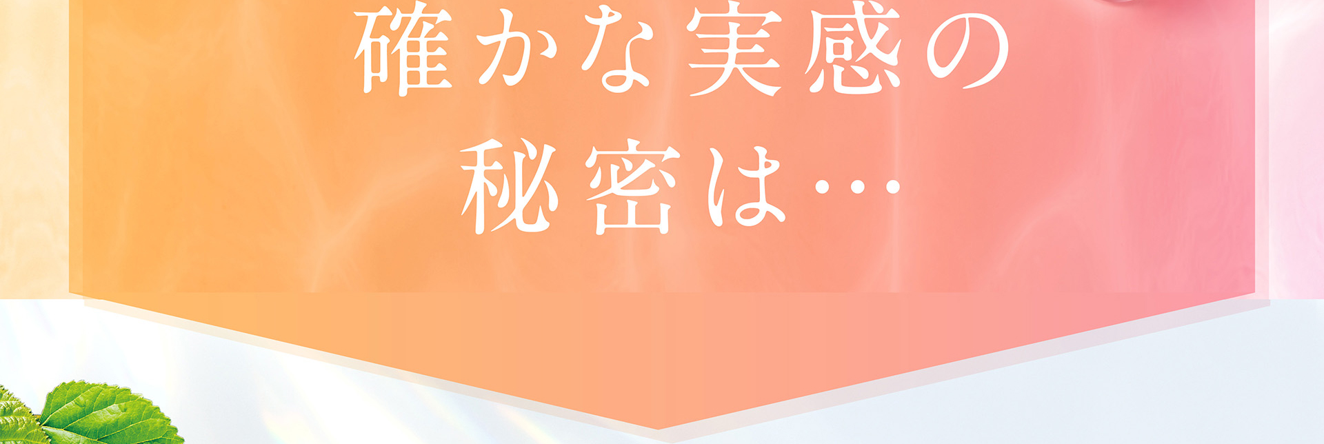 確かな実感の秘密は…