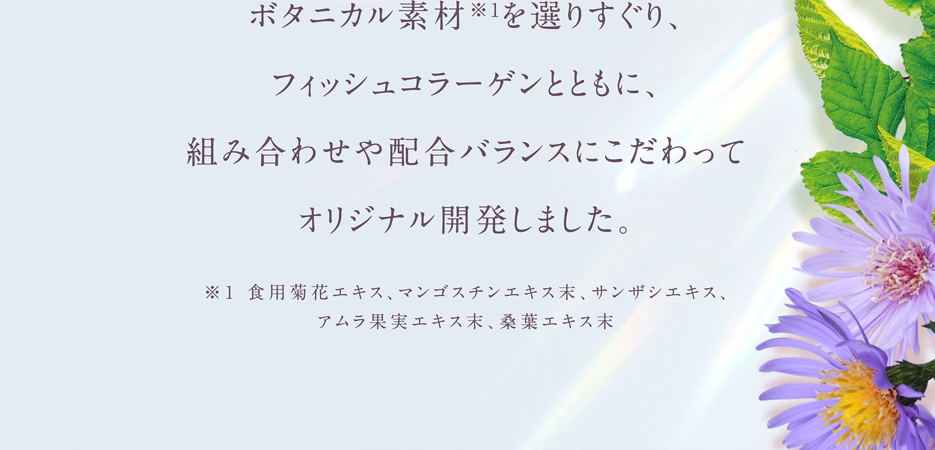 ボタニカル素材を選りすぐり、フィッシュコラーゲンとともに、組み合わせや配合バランスにこだわってオリジナル開発しました。