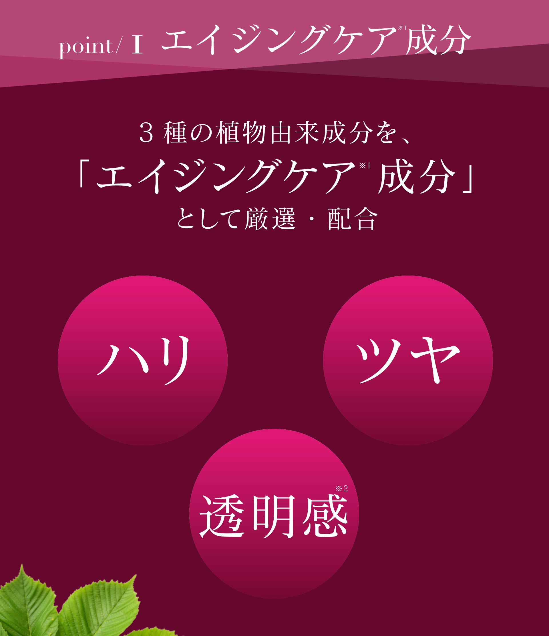 【POINT1】3種の植物由来成分を「エイジングケア成分」として厳選・配合。ハリ・ツヤ・透明感