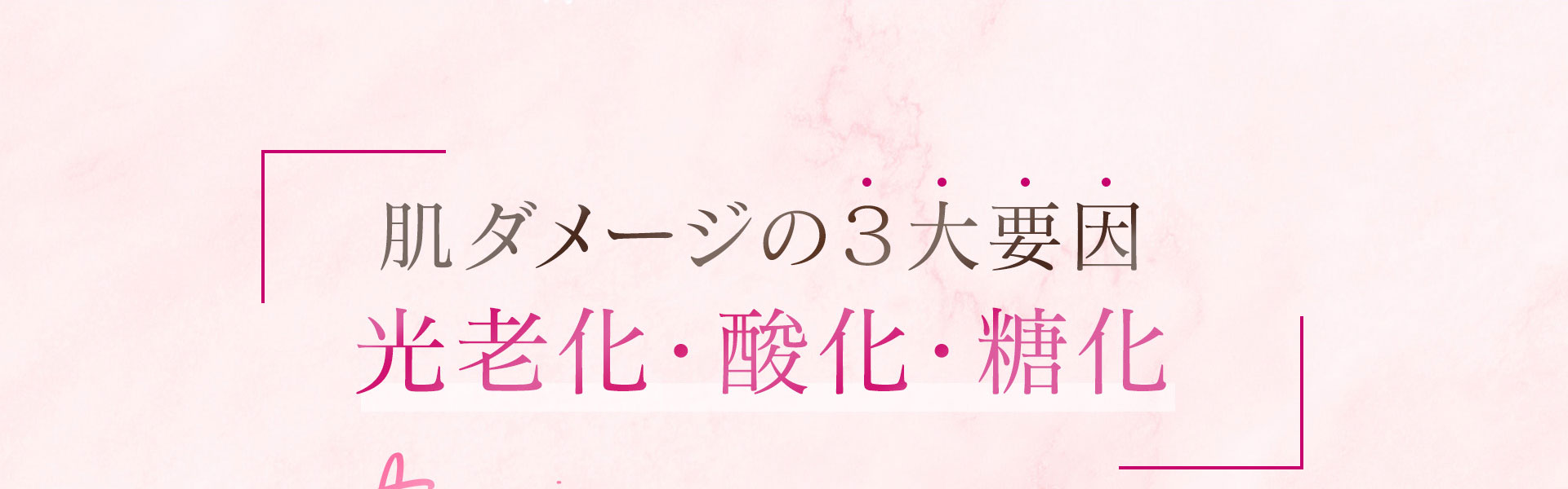 肌ダメージの3大要因、光老化・酸化・糖化