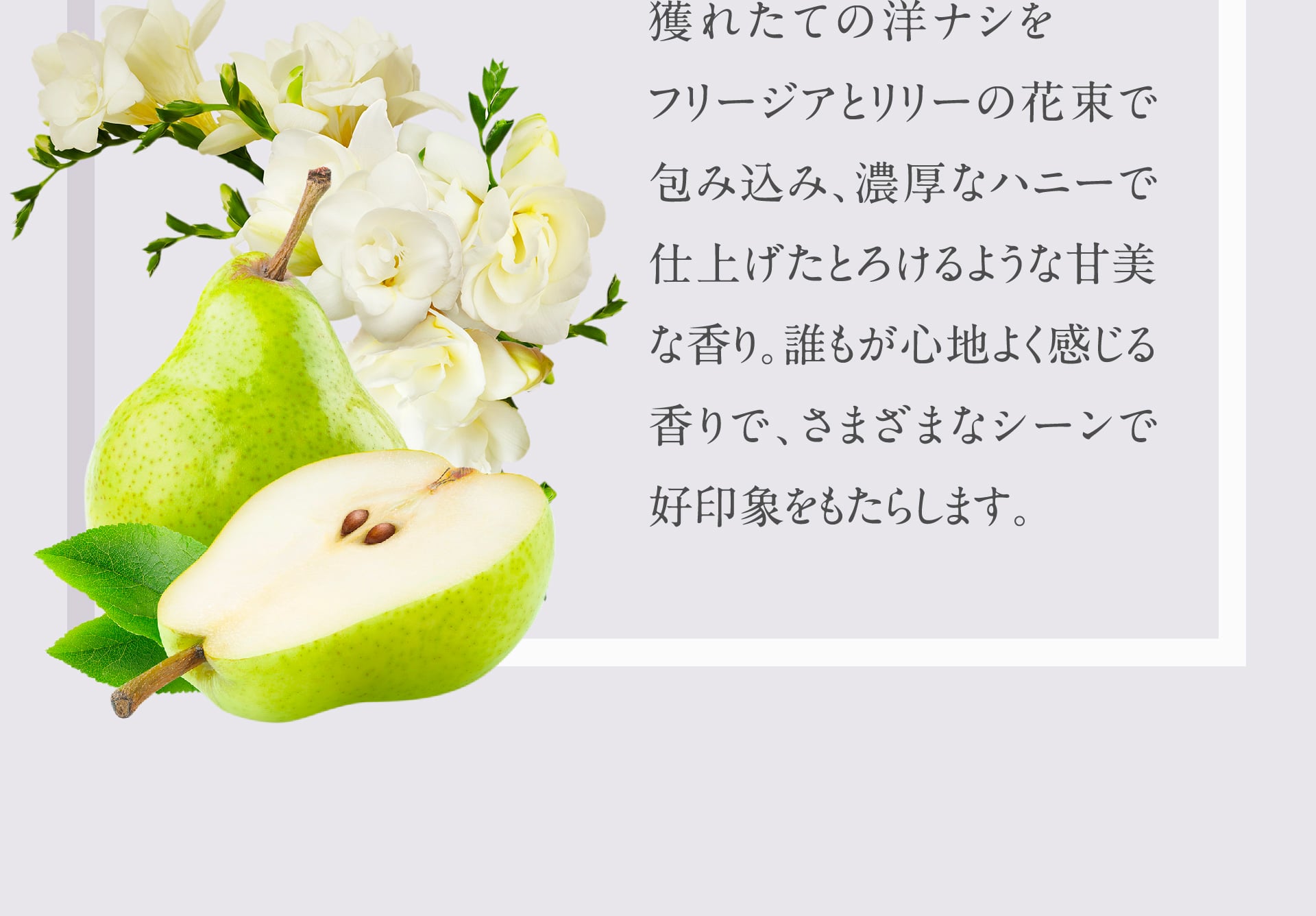 獲れたての洋ナシをフリージアとリリーの花束で包み込み、濃厚なハニーで仕上げたとろけるような甘美な香り。誰もが心地よく感じる香りで、様々なシーンで好印象をもたらします。