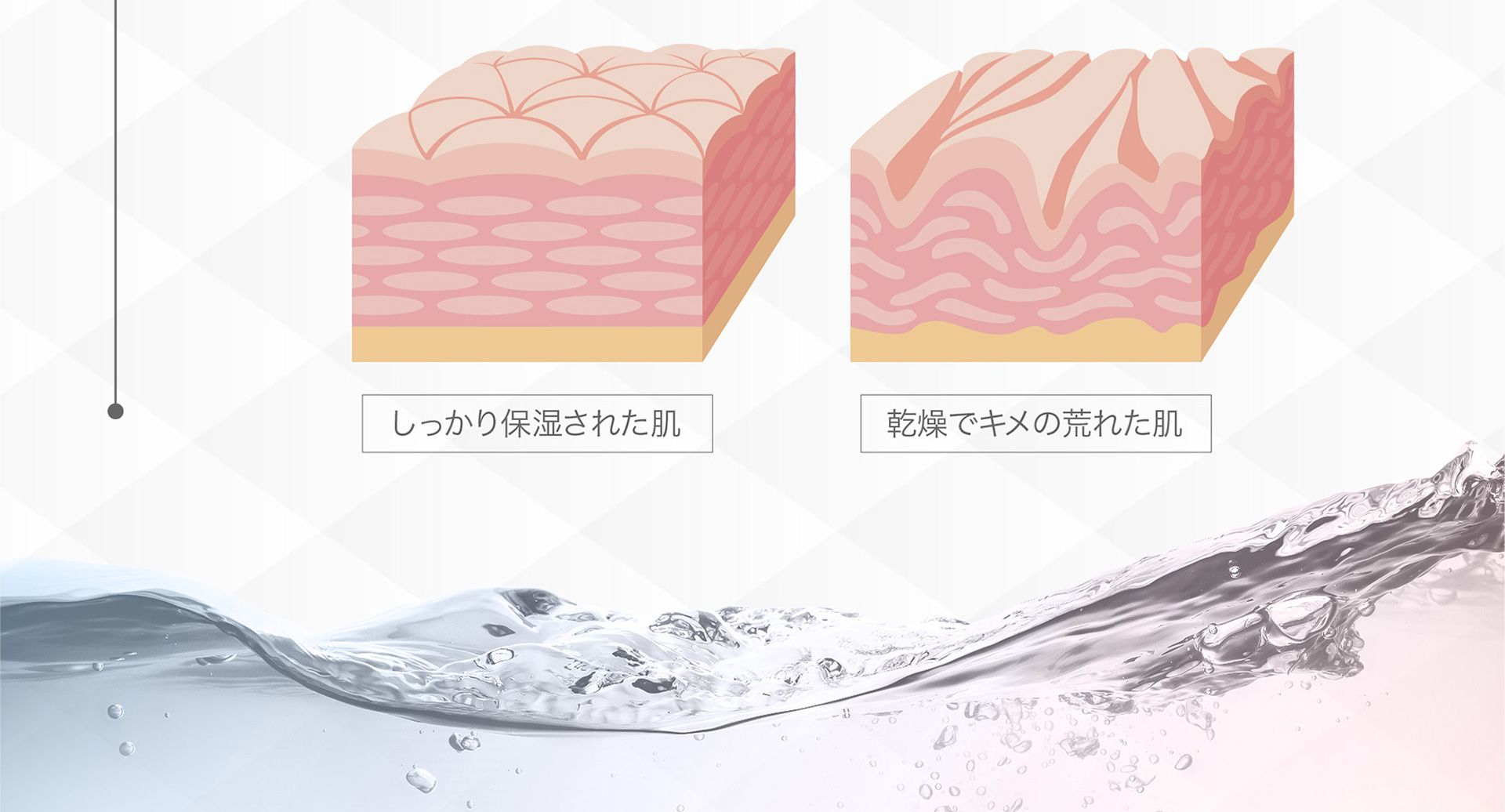 しっかり保湿された肌 乾燥でキメの荒れた肌