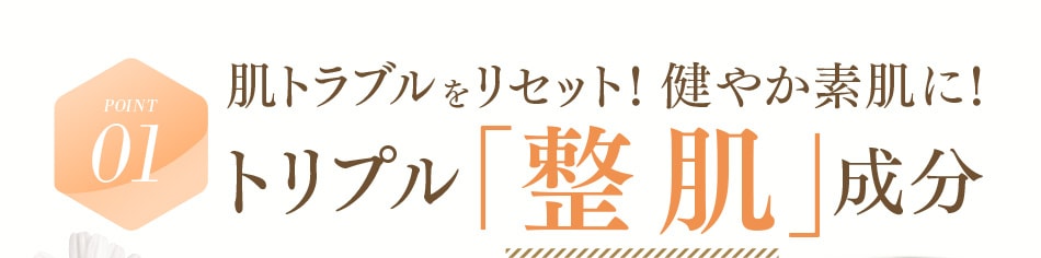 POINT01 肌トラブルをリセット！健やかな素肌に！トリプル「整肌」成分