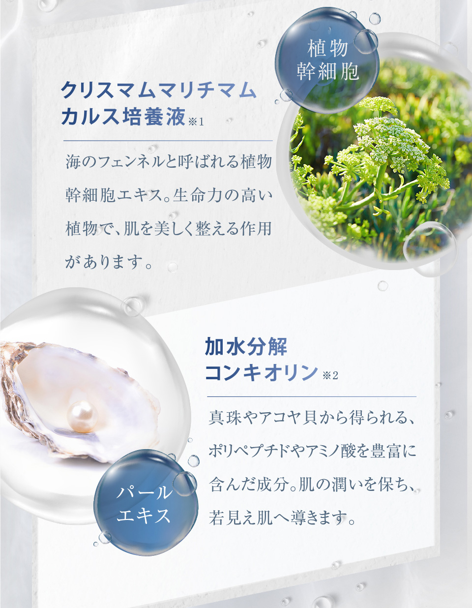 クリスマムマリチマムカルス培養液※1 加水分解コンキオリン※2 ※1 整肌成分 ※2 弾力・ハリ成分