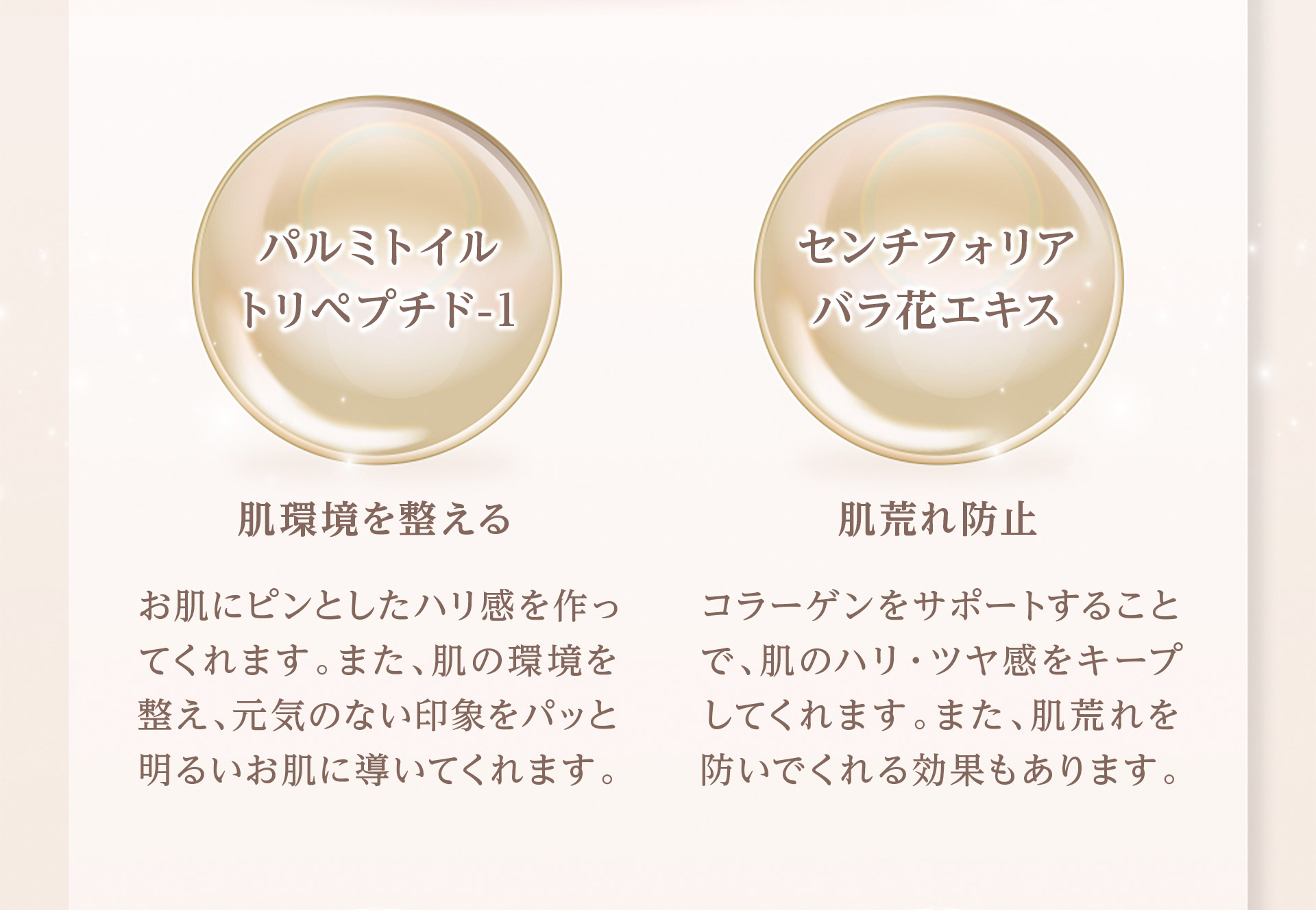 【パルミトイルトリペプチド-1：肌環境を整える】お肌にピンとハリ感を作ってくれます。また、肌の環境を整え、元気のない印象をパッと明るいお肌に導いてくれます。　【センチフォリアバラ花エキス：肌荒れ防止】コラーゲンをサポートすることで、肌のハリ・ツヤ感をキープしてくれます。また、肌荒れを防いでくれる効果もあります。