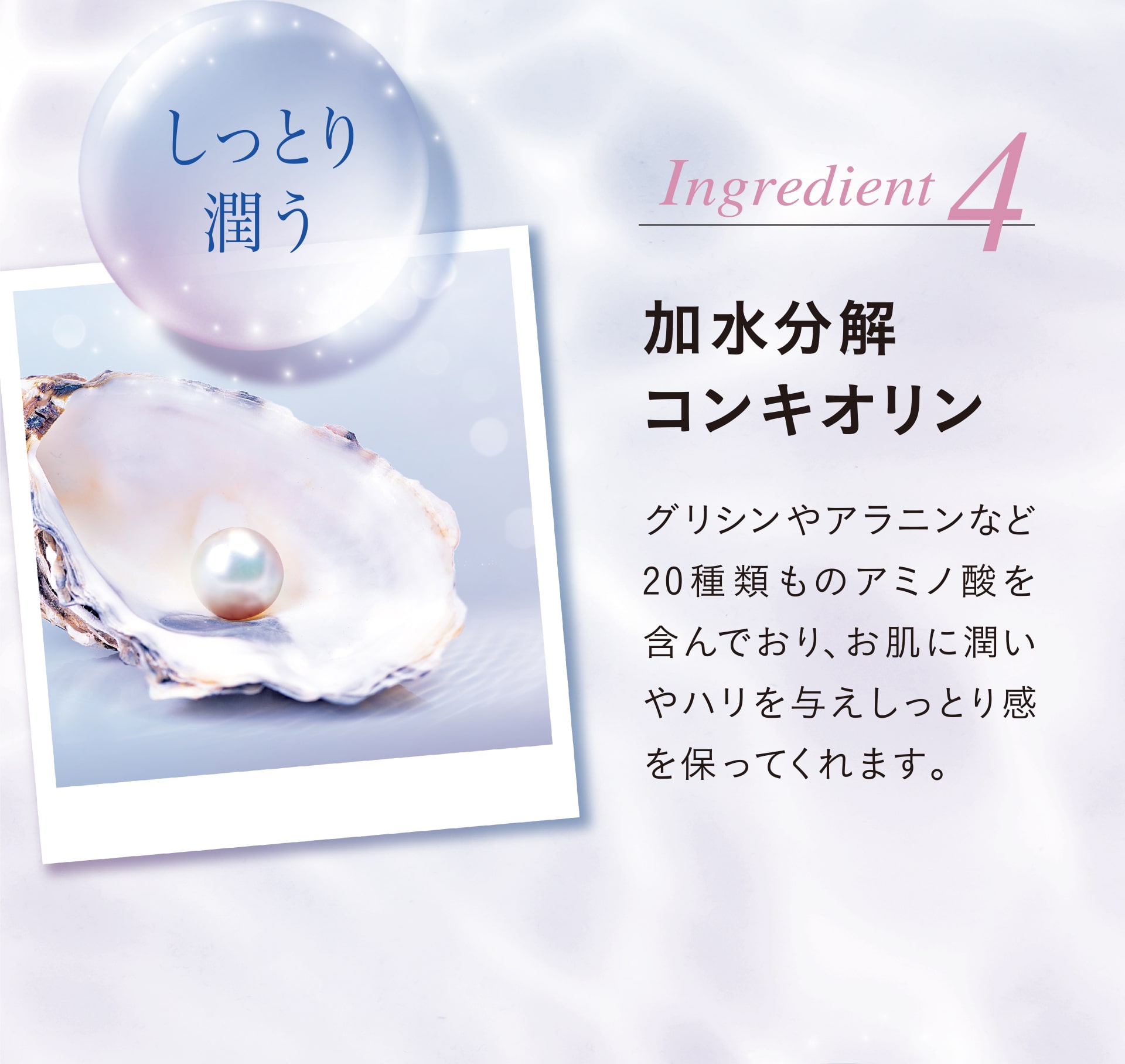 Ingredient4 「しっとり潤う」加水分解コンキオリン