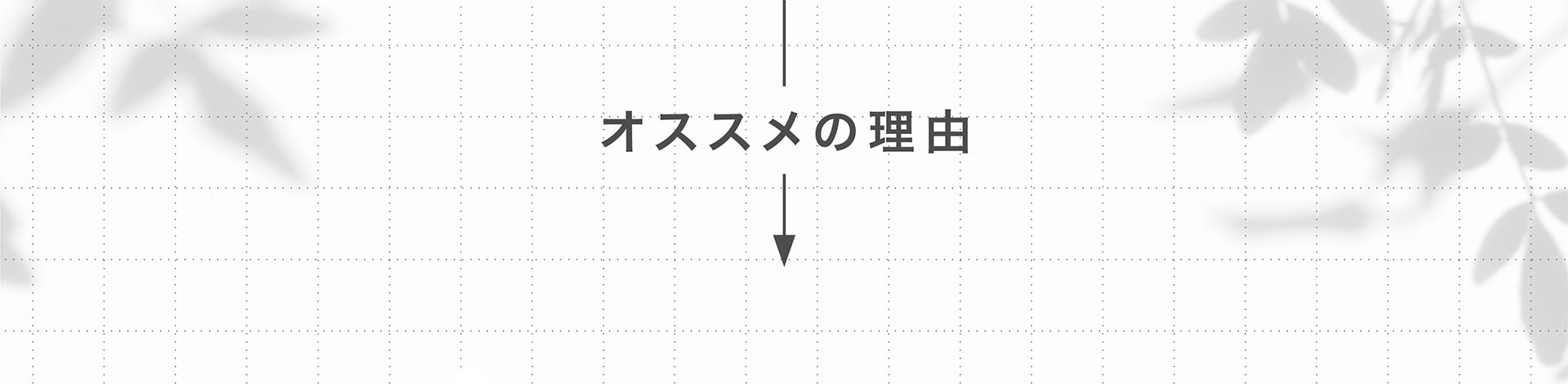 オススメの理由