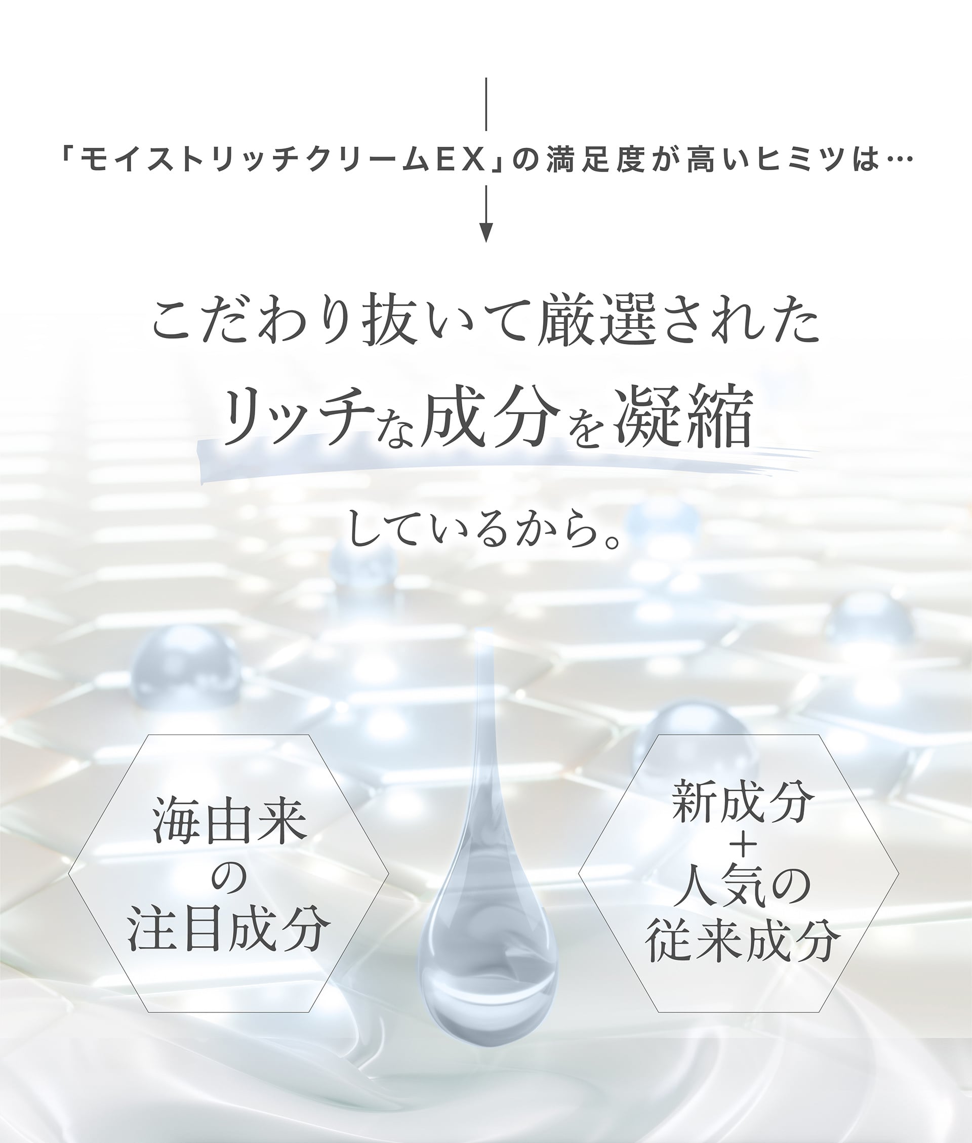 「モイストリッチクリームEX」の満足度が高いヒミツはこだわり抜いて厳選されたリッチな成分を凝縮しているから。