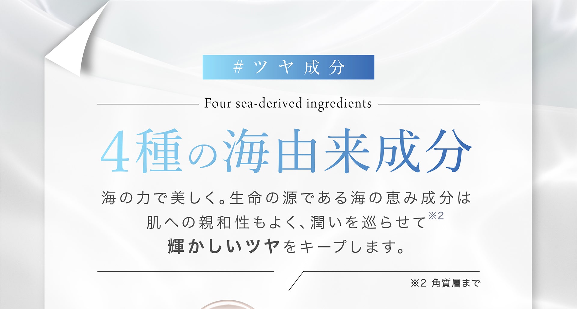 4種の海由来成分