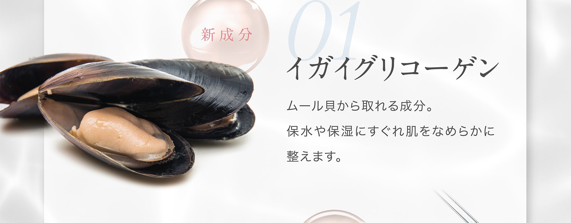 【新成分・01】イガイグリコーゲン