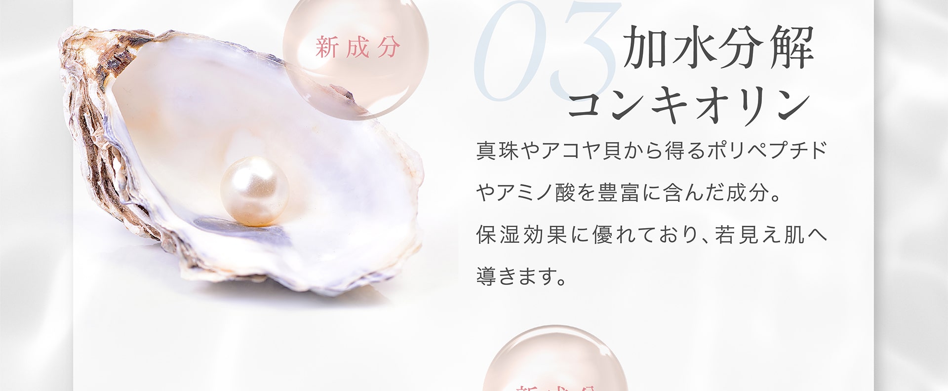 【新成分・03】加水分解コンキオリン