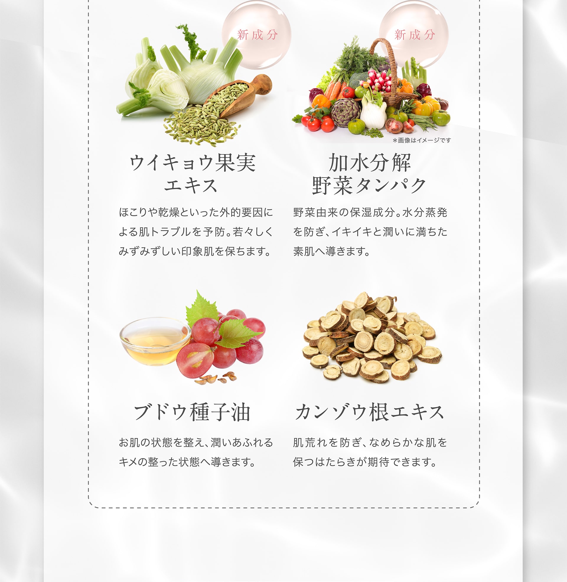 【新成分」】ウイキョウ果実エキス　【新成分】加水分解野菜タンパク　ブドウ種子油　カンゾウ根エキス