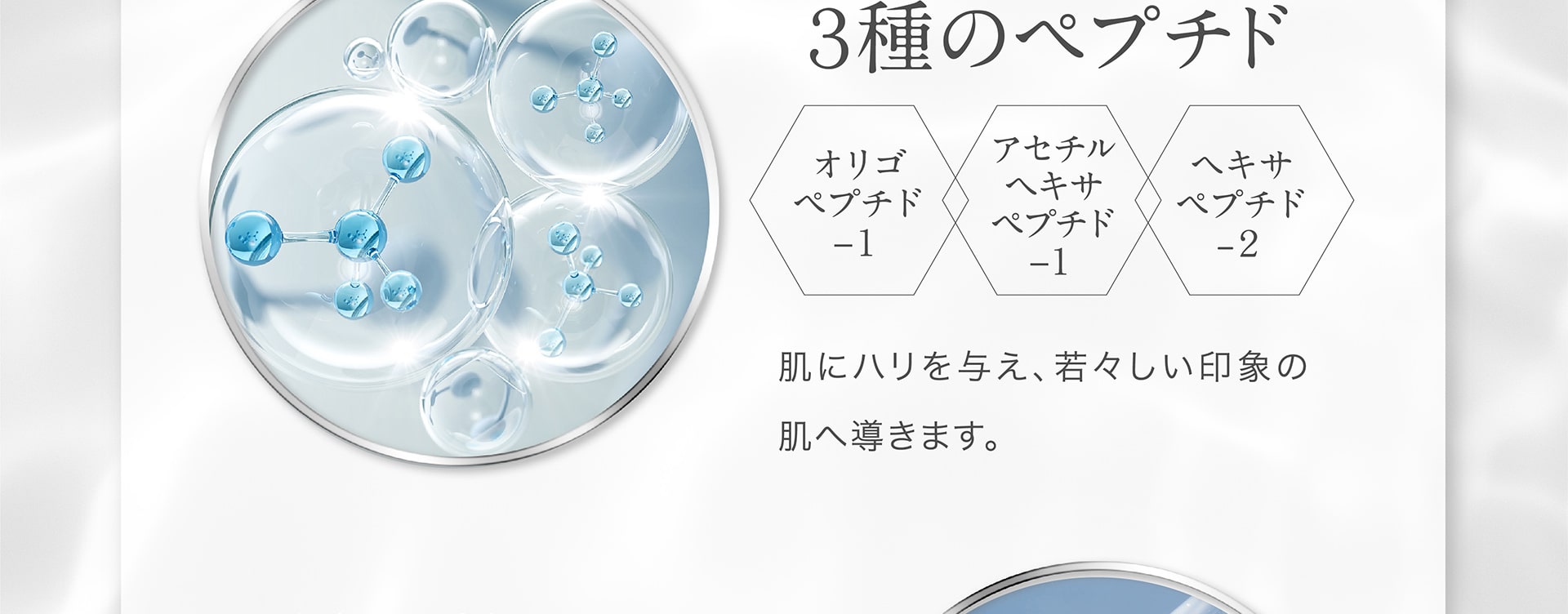 3種のペプチド[オリゴペプチド-1、アセチルヘキサペプチド-1、ヘキサペプチド-2]
