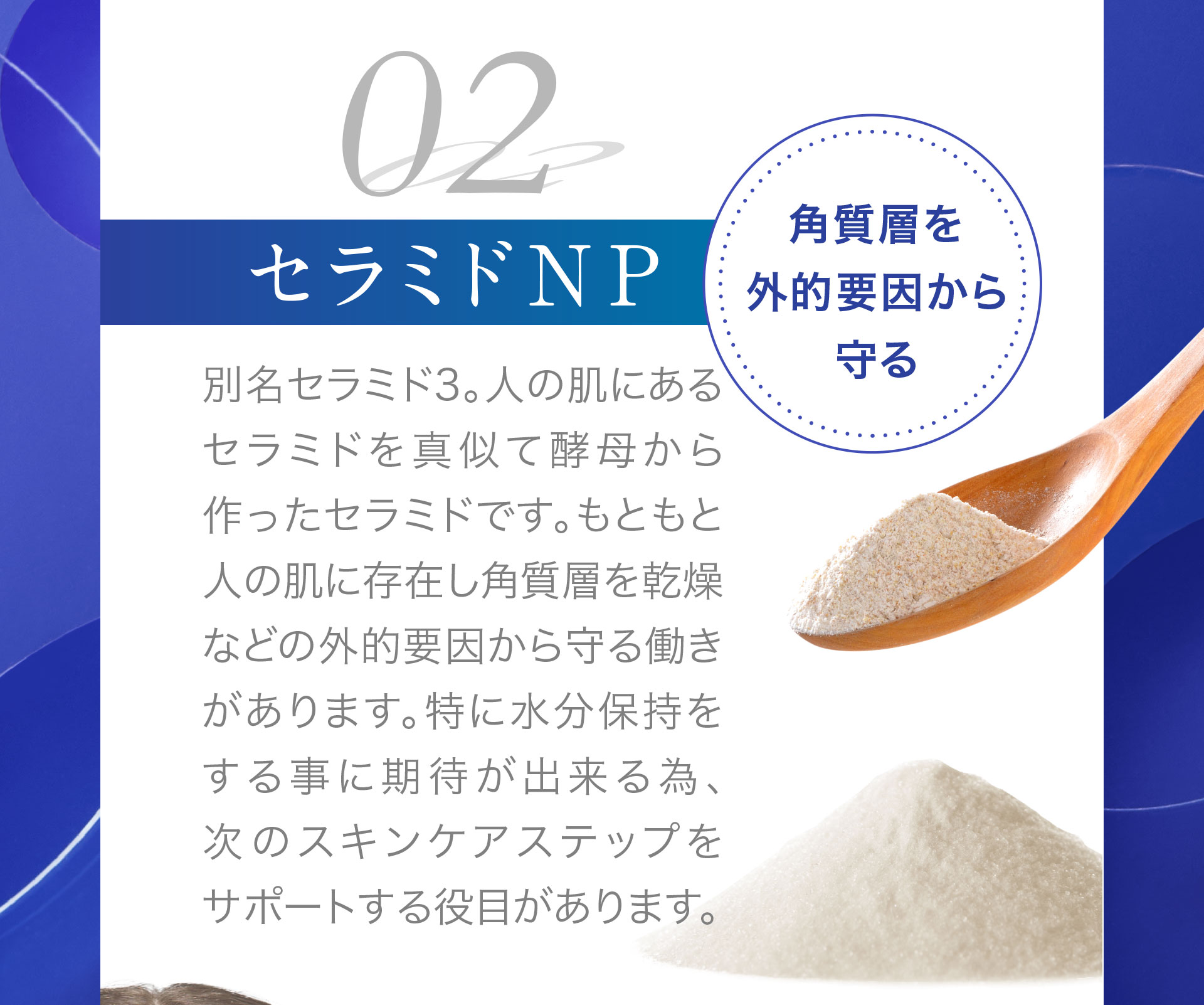 02＜セラミドNP＞角質層を外的要因から守る