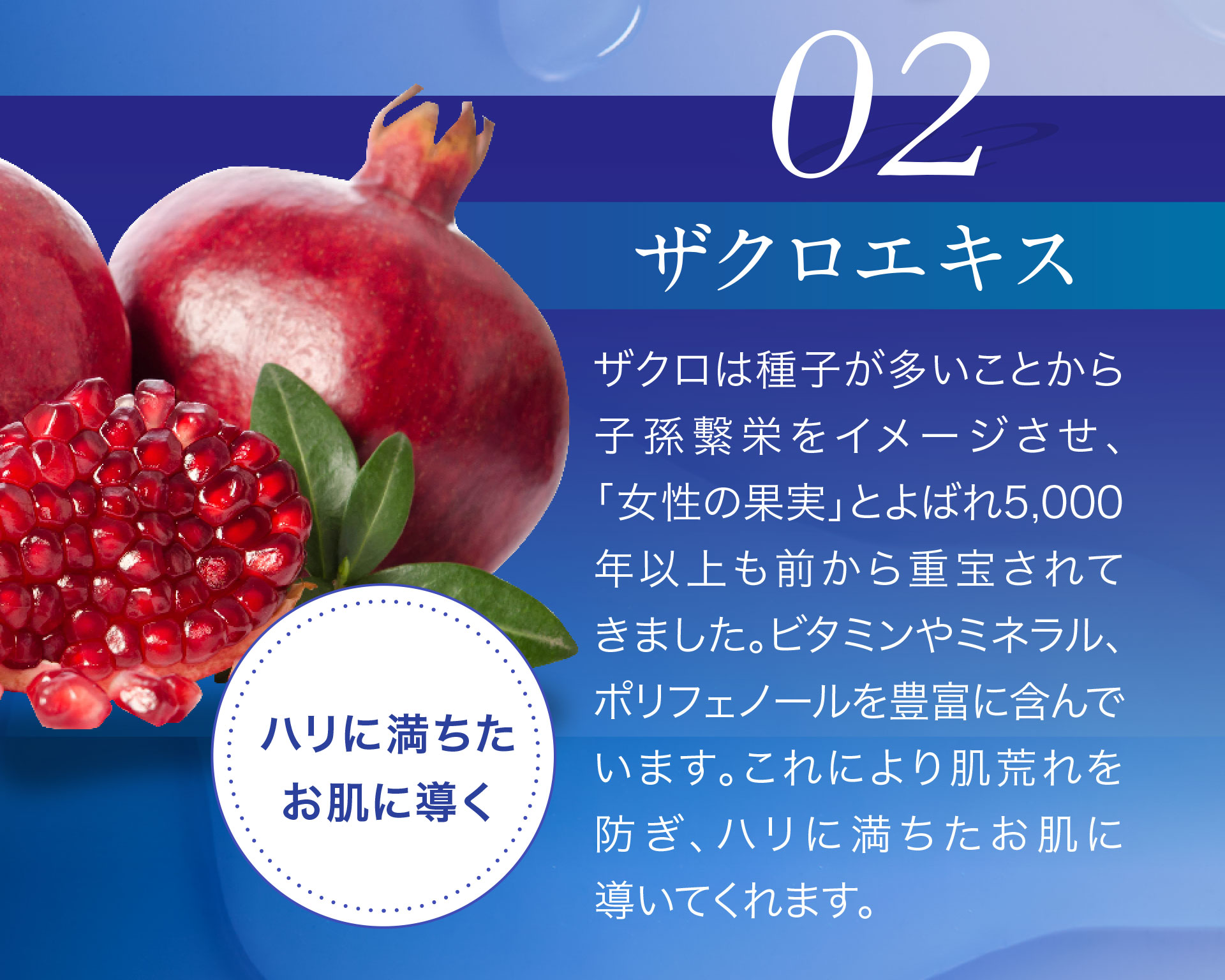 02＜ザクロエキス＞ハリに満ちたお肌に導く