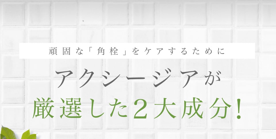 頑固な「角栓」をケアするためにアクシージアが厳選した2大成分！