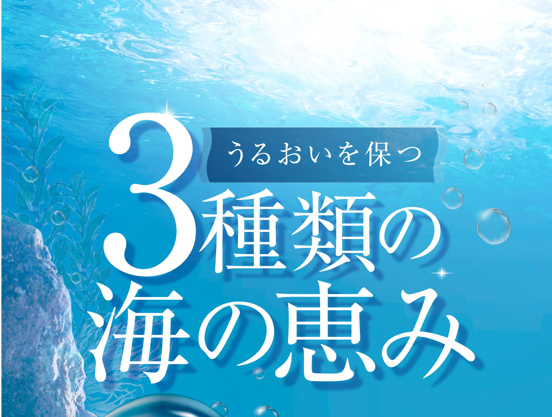 うるおいを保つ3種類の海の恵み