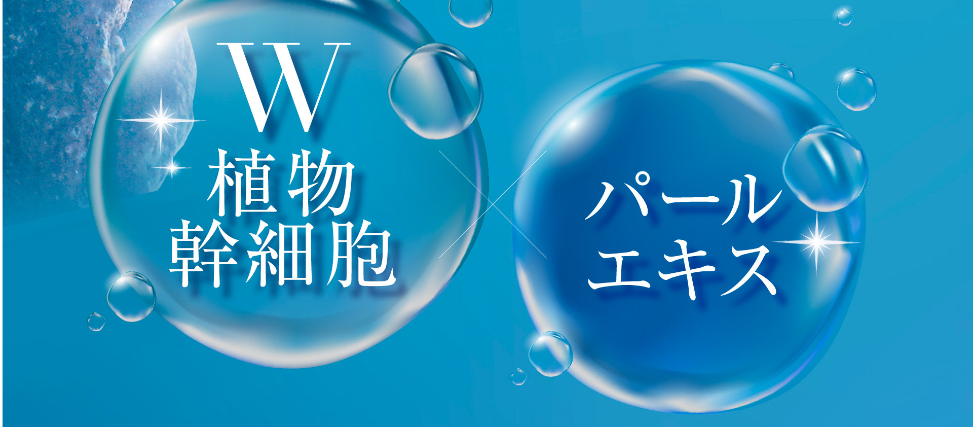 W植物幹細胞 パールエキス