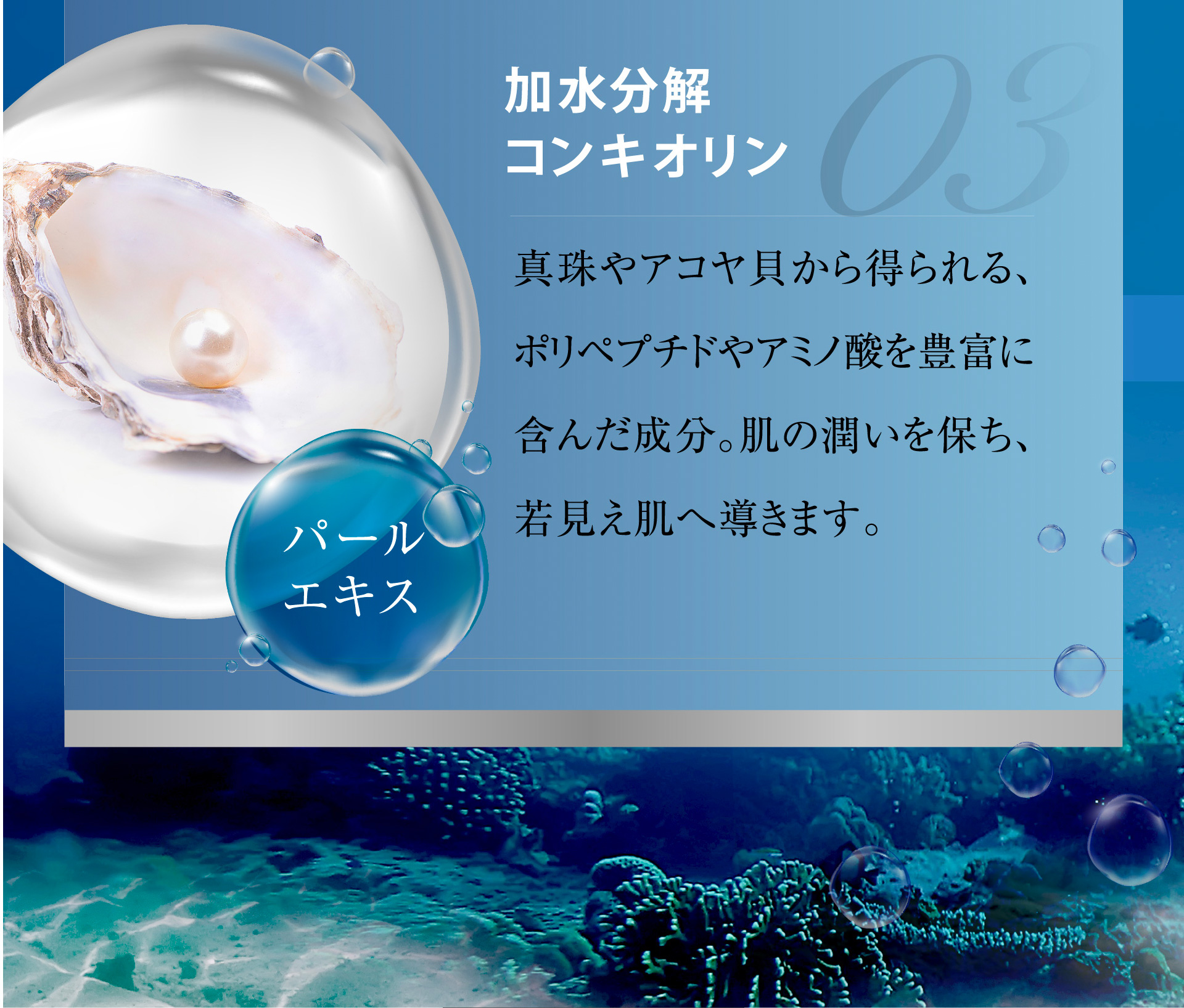 03加水分解コンキオリン