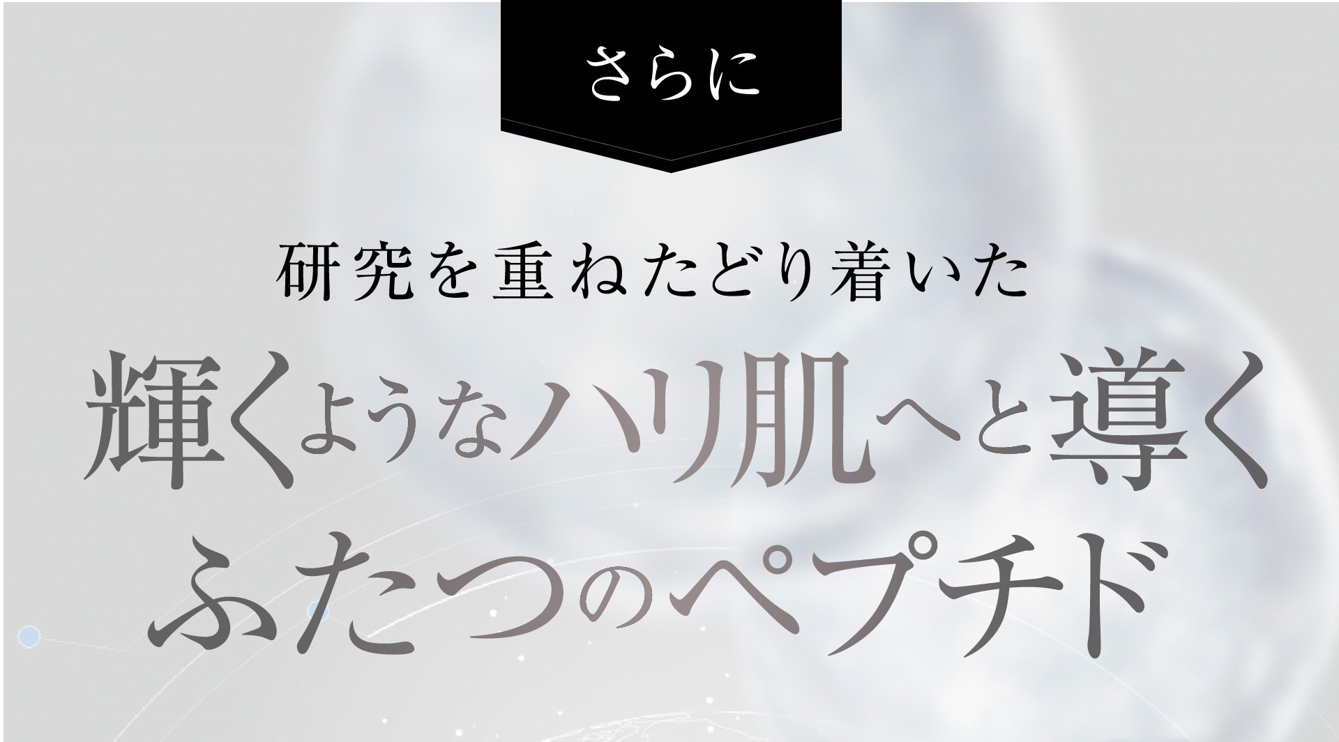 さらに 研究を重ねたどり着いた輝くようなハリ肌へと導くふたつのペプチド