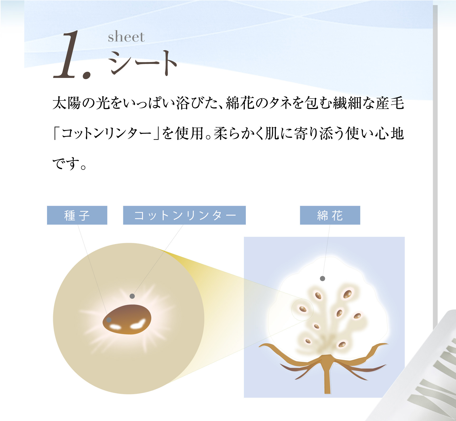1.シート