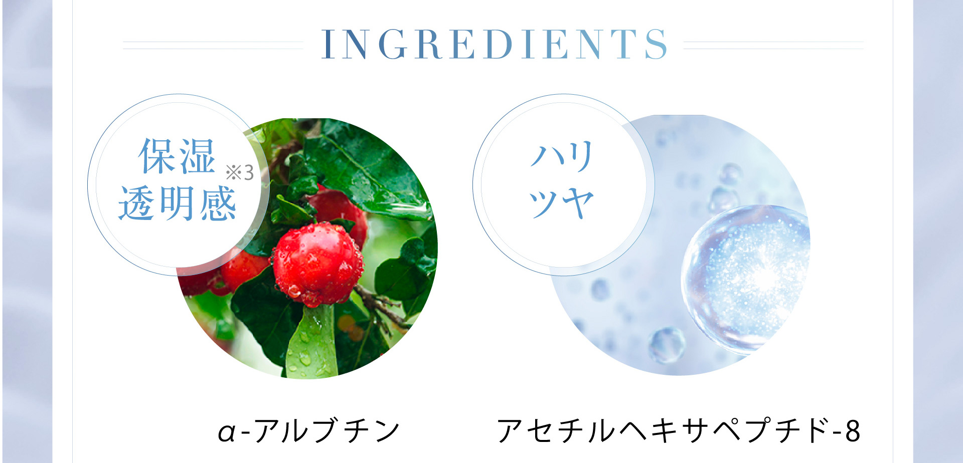 INGREDIENTS α-アルブチン アセチルヘキサペプチド-8