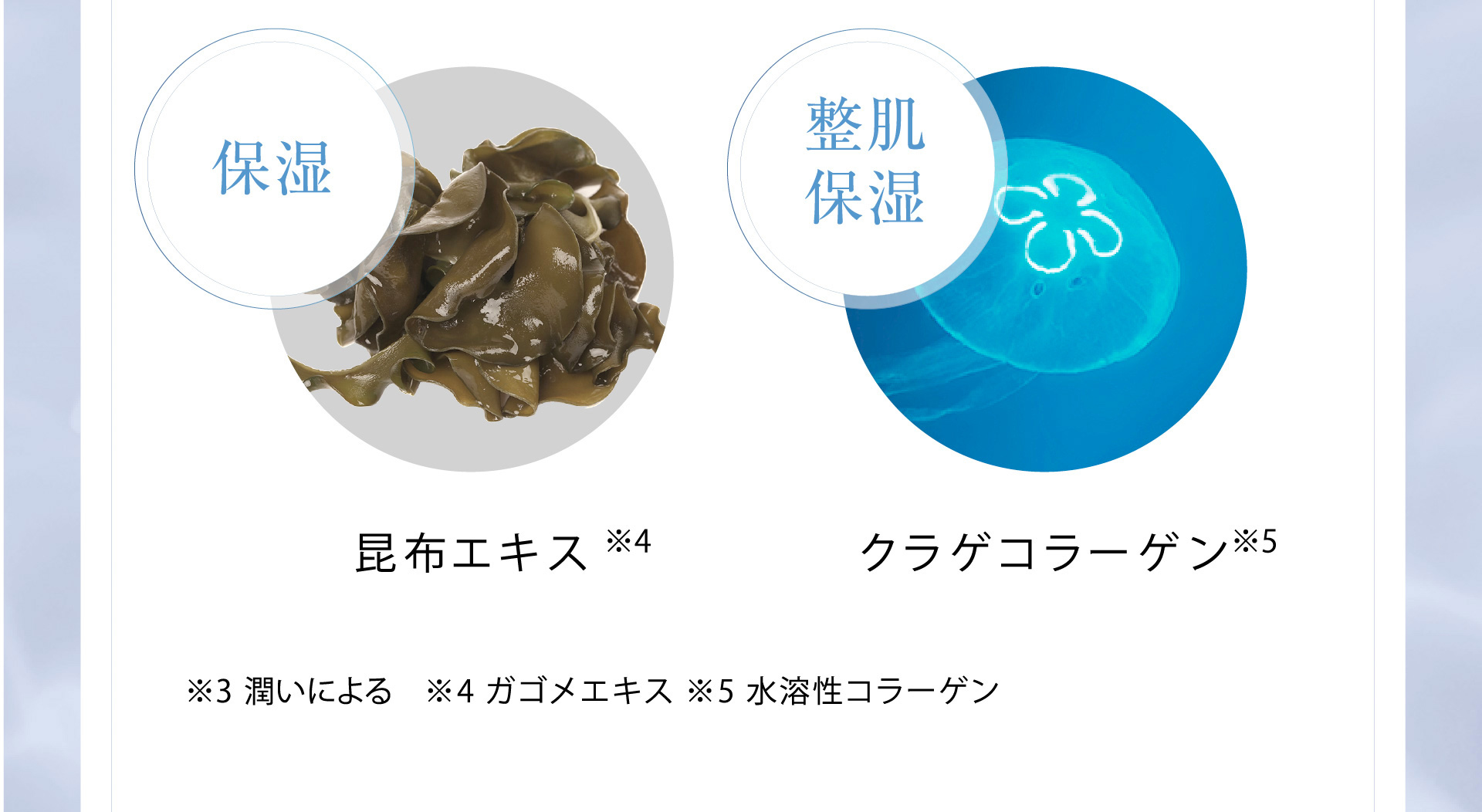 昆布エキス※4 クラゲコラーゲン※5 ※4 ガゴメエキス ※5 水溶性コラーゲン