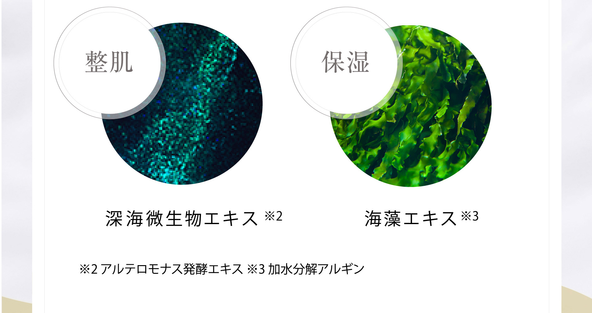 深海微生物エキス※2 海藻エキス※3 ※2 アルテロモナス発酵エキス ※3 加水分解アルギン	
