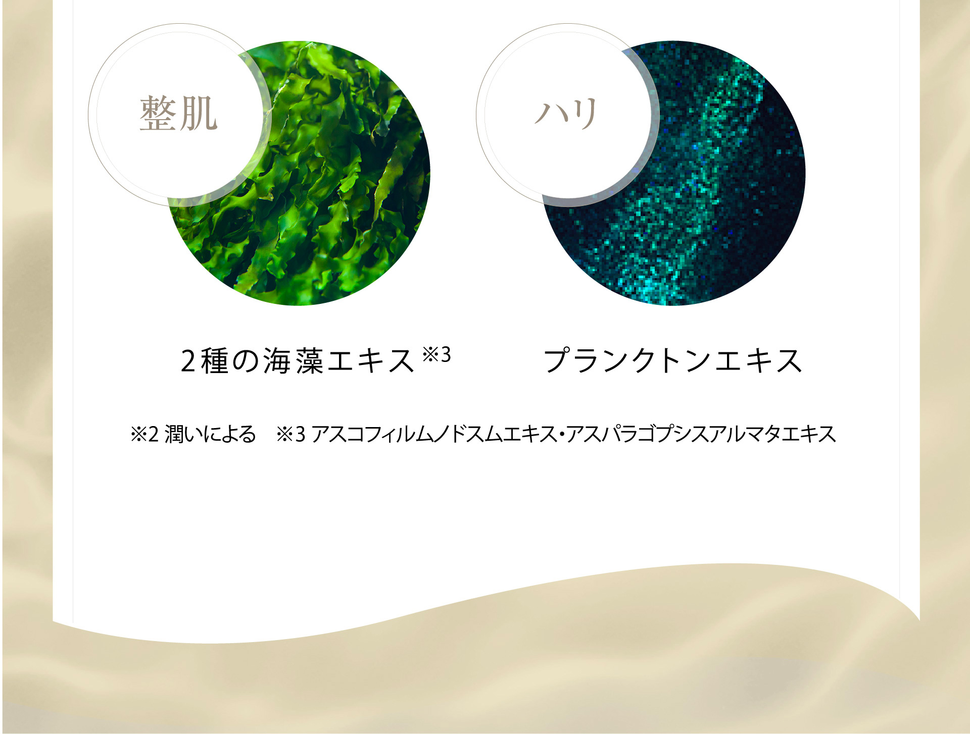 2種の海藻エキス※3 プランクトンエキス　※3 アスコフィルムノドスムエキス・アスパラゴプシスアルマタエキス