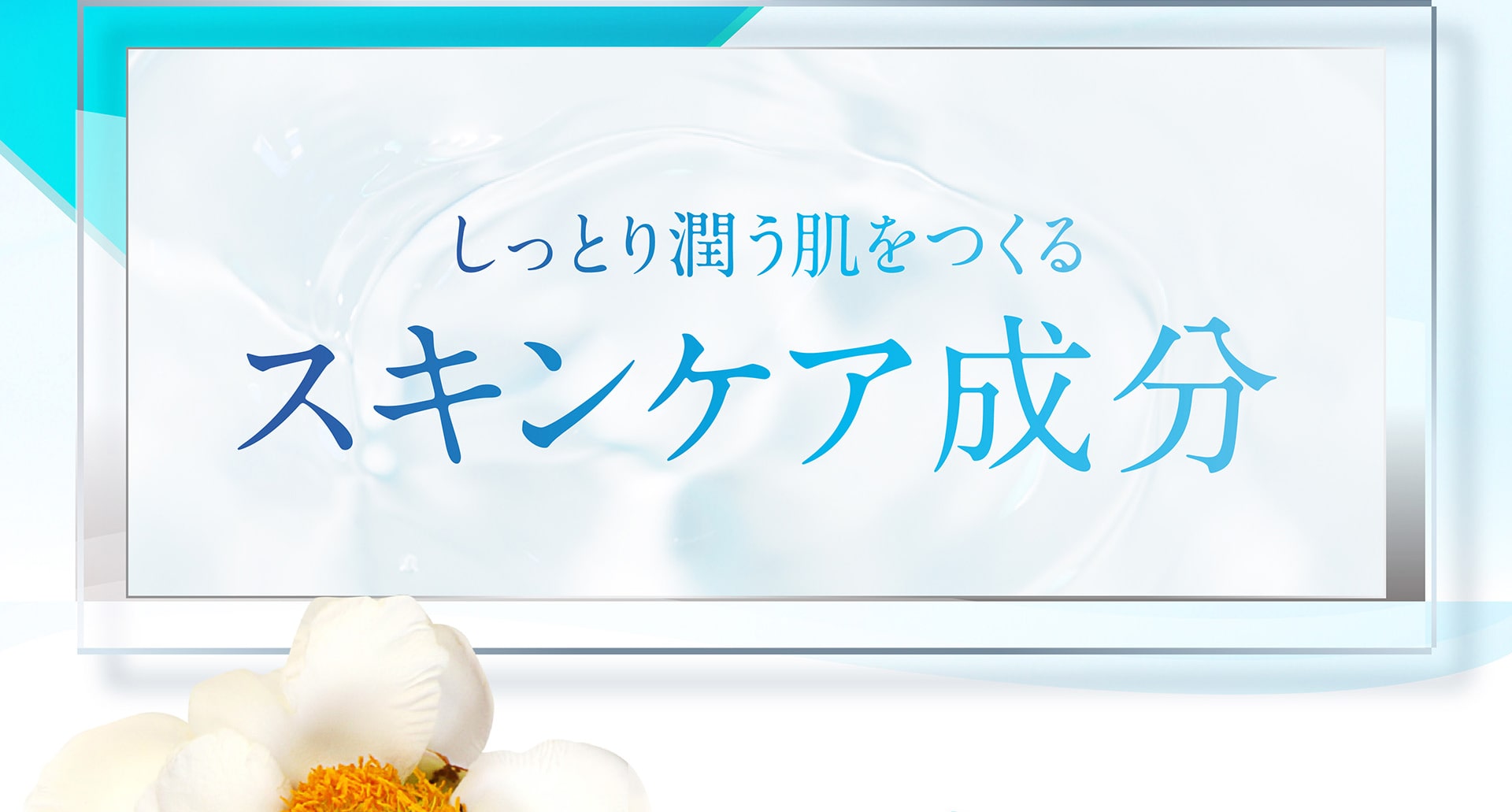 しっとり潤う肌をつくるスキンケア成分