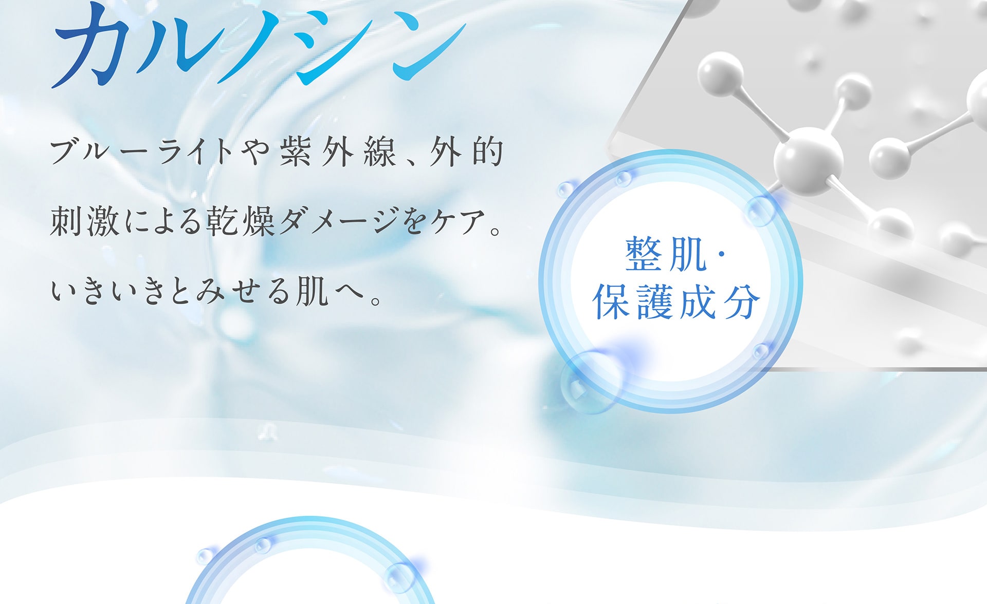 【整肌、保護成分】カルノシン