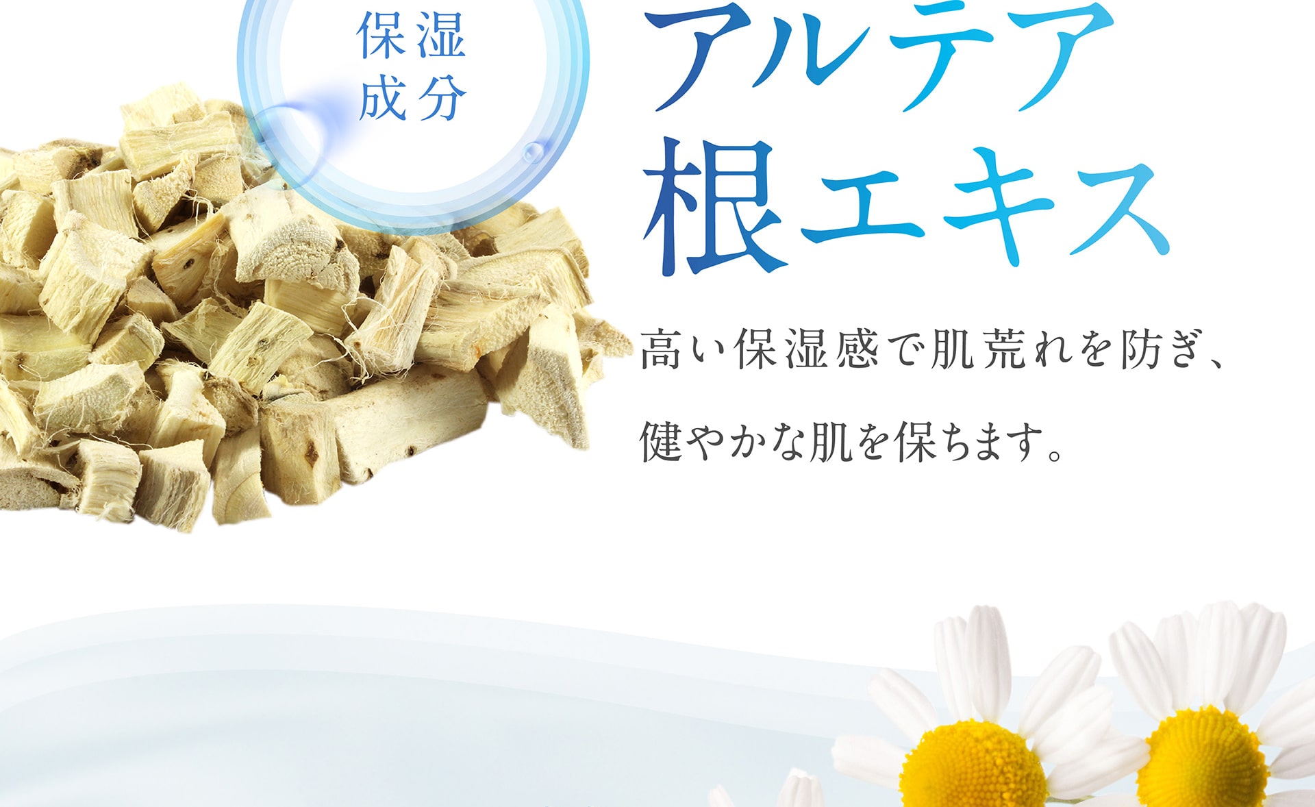 【保湿成分】アルテア根エキス