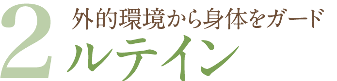 2ルテイン外的環境から身体をガード