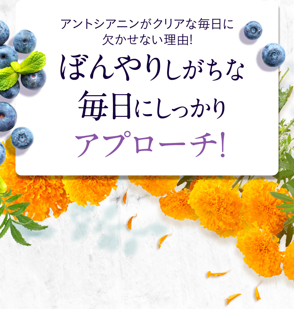 アントシアニンがクッキリに欠かせない理由!ぼんやりしがちな毎日にしっかりアプローチ！