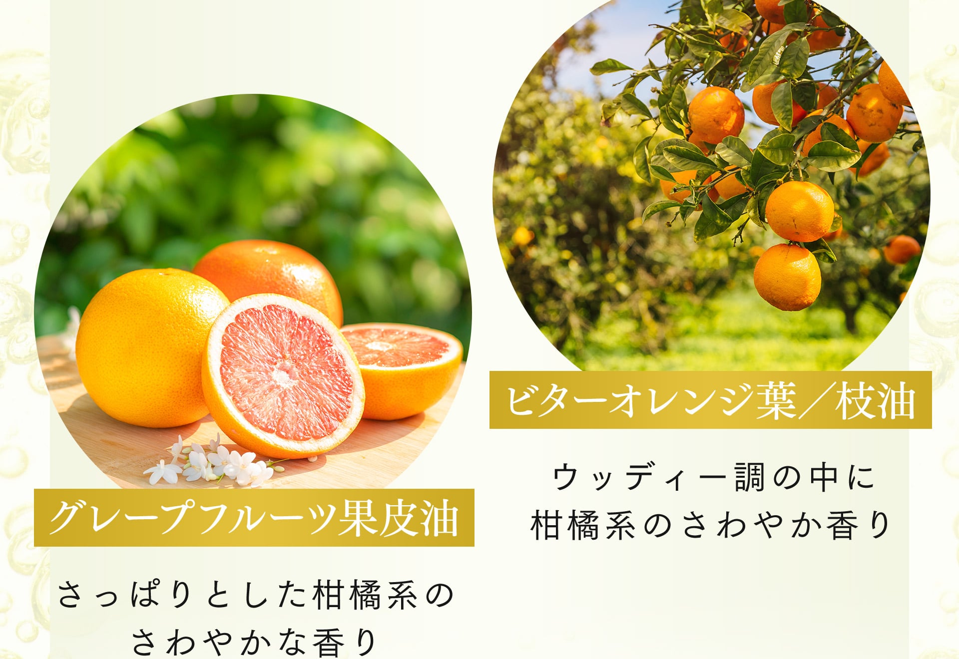 【ビターオレンジ葉／枝油】ウッディー調の中に柑橘系のさわやか香り 【グレープフルーツ果皮油】さっぱりとした柑橘系のさわやかな香り