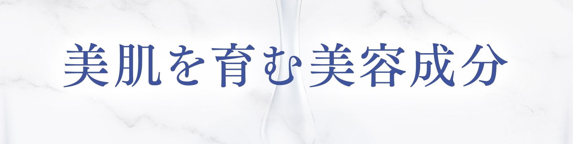 美肌を育む美容成分