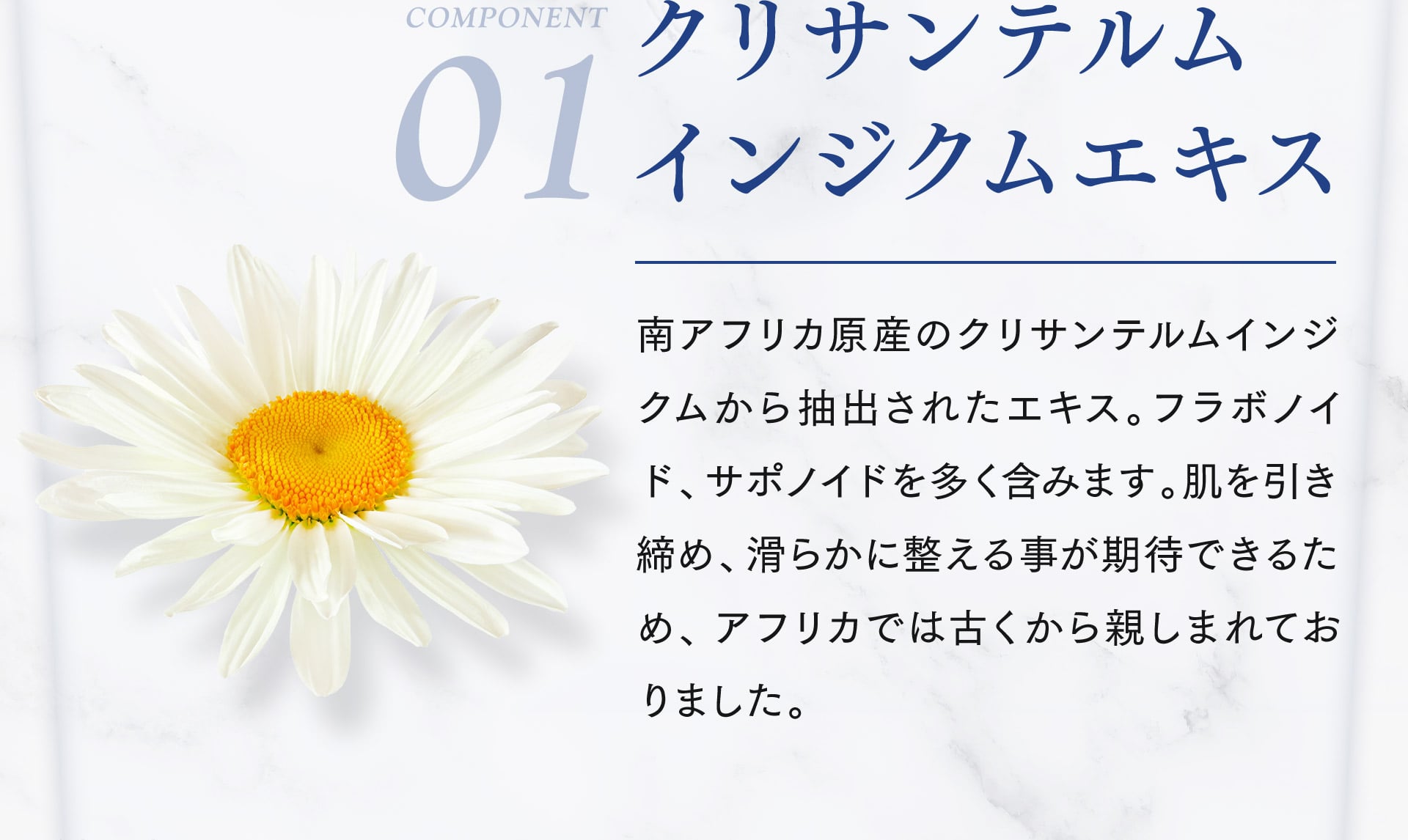 【01/クリサンテルムインジクムエキス】南アフリカ原産のクリサンテルムインジクムから抽出されたエキス。フラボノイド、サポノイドを多く含みます。肌を引き締め、滑らかに整えることが期待できるため、アフリカでは古くから親しまれておりました。