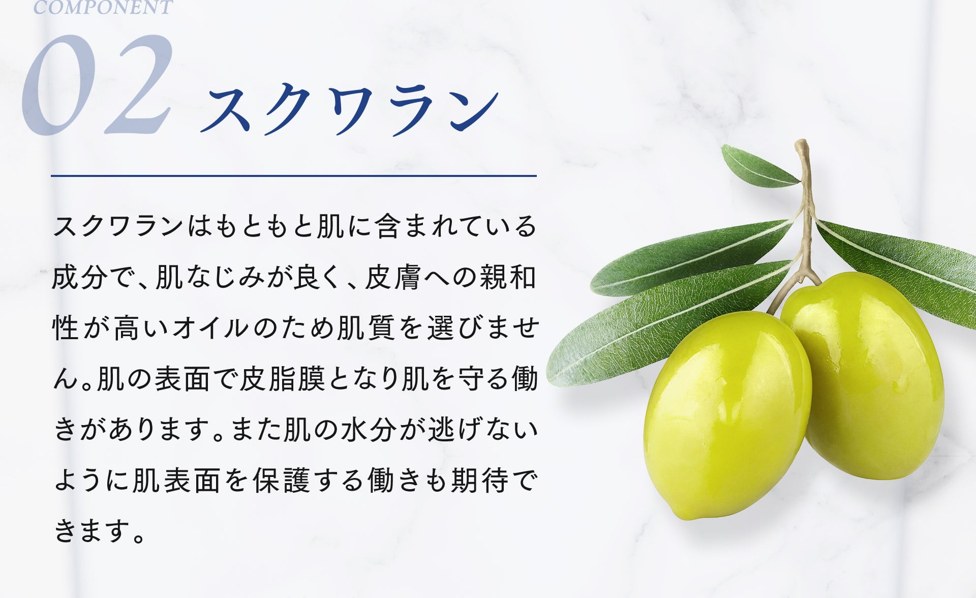 【02/スクワラン】スクワランはもともと肌に含まれている成分で、肌なじみが良く、皮膚への親和性が高いオイルのため肌質を選びません。肌の表面で皮油膜となり肌を守る働きがあります。また肌の水分が逃げないように肌表面を保護する働きも期待できます。