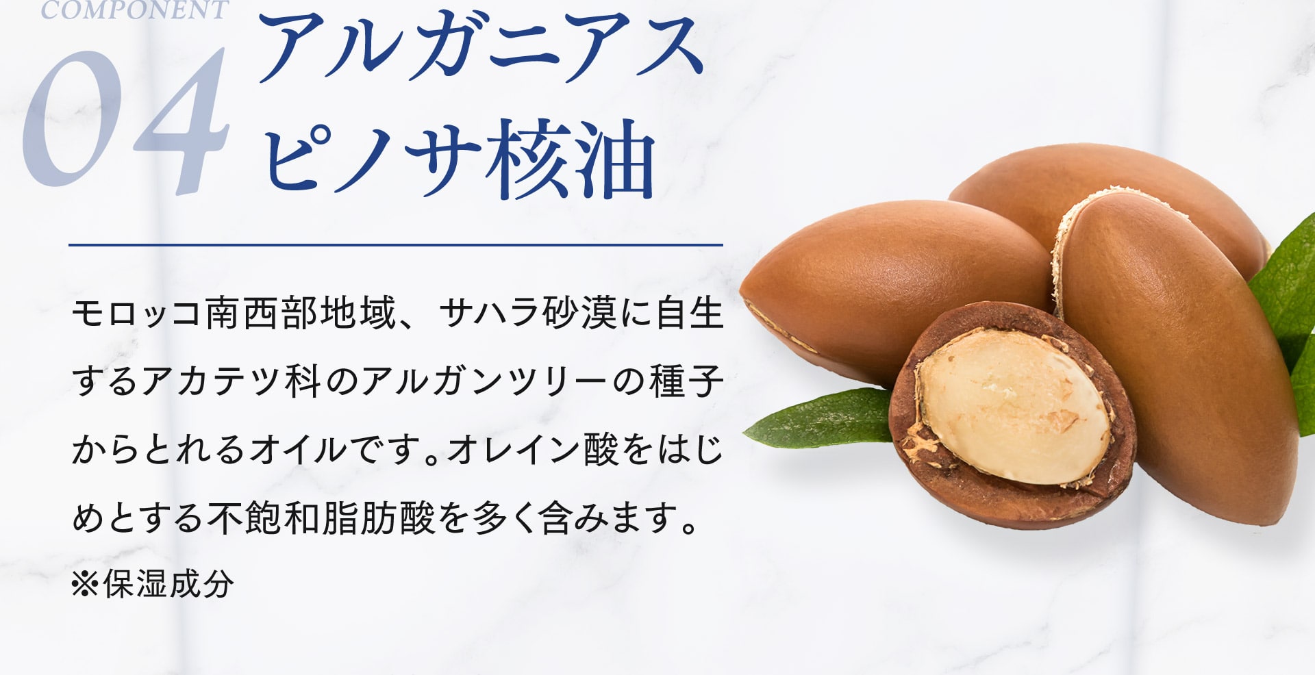 【04/アルガニアスピノサ核油】モロッコ南西部地域、サハラ砂漠に自生するアカテツ科のオイルです。オレイン酸をはじめとする不飽和脂肪酸を多く含みます。※保湿成分