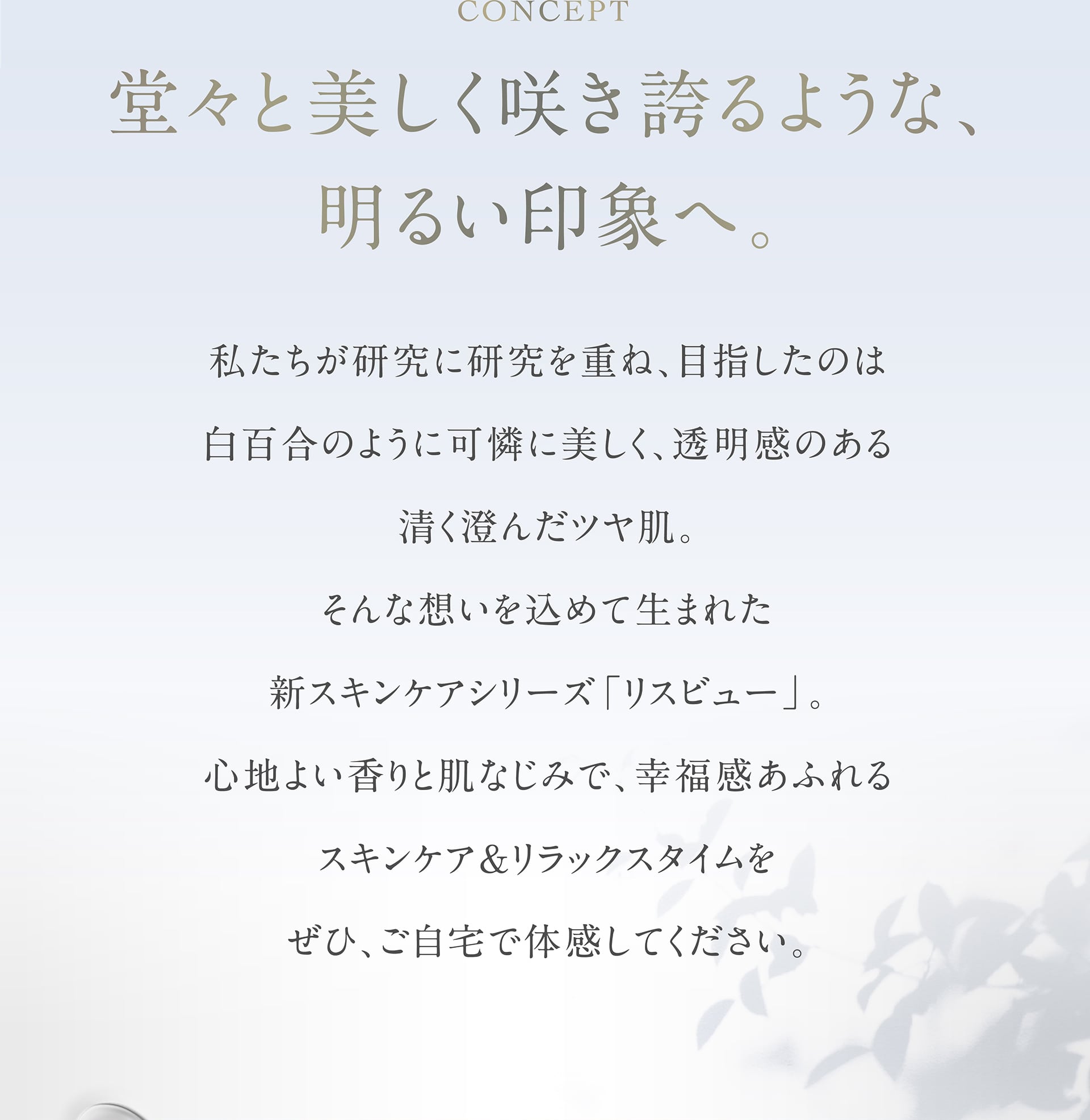 堂々と美しく咲き誇るような、明るい印象へ。
